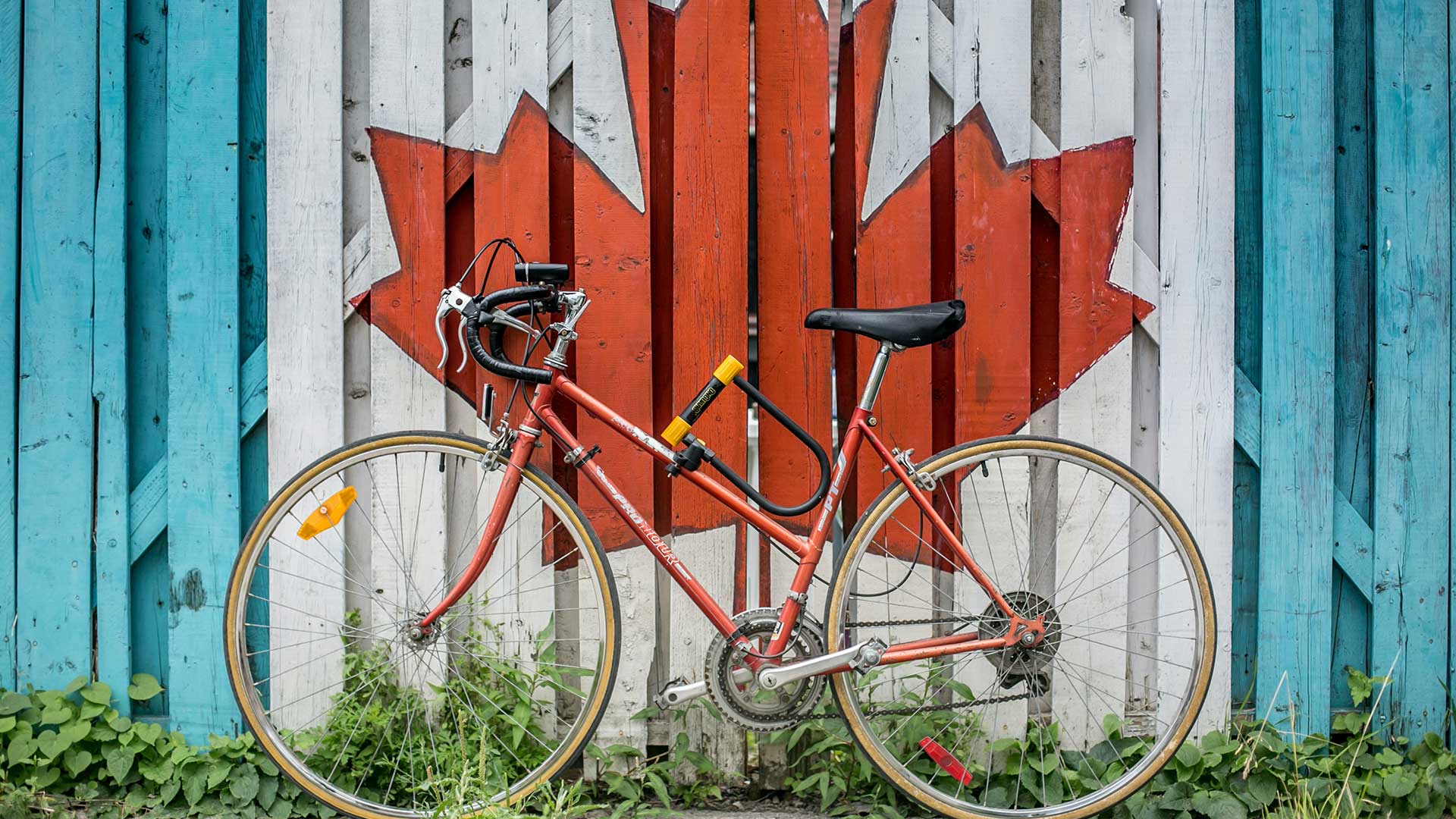 Canadian immigration experts